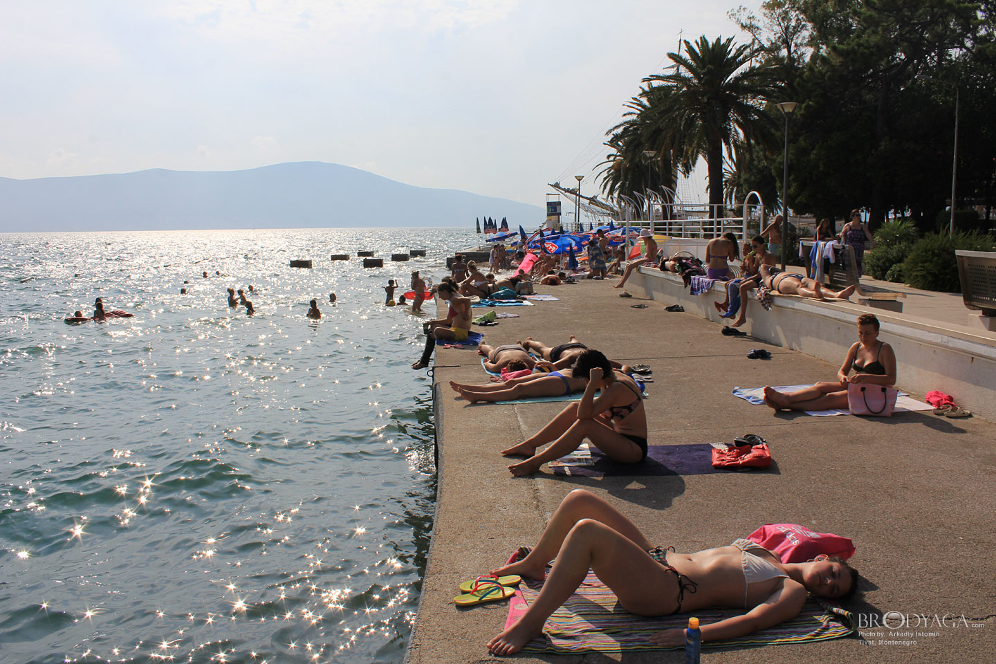 Tivat